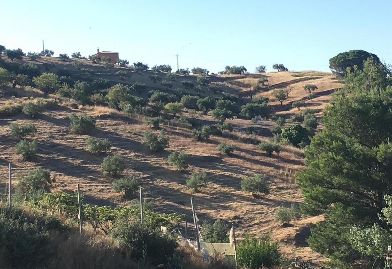 Algarrobo Azul Villa Almuñécar Kültér fotó