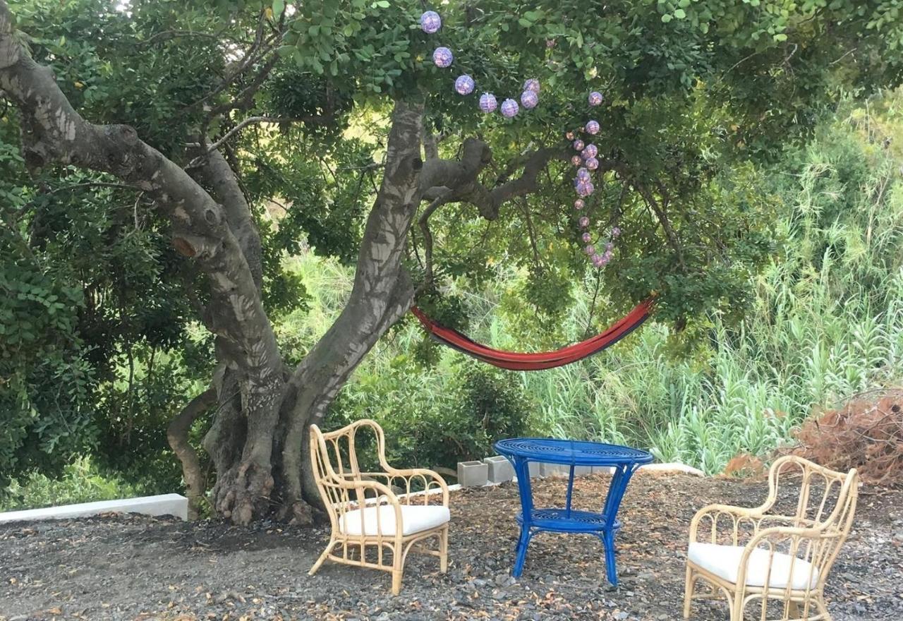 Algarrobo Azul Villa Almuñécar Kültér fotó